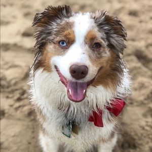 Meet your Posher, Samantha